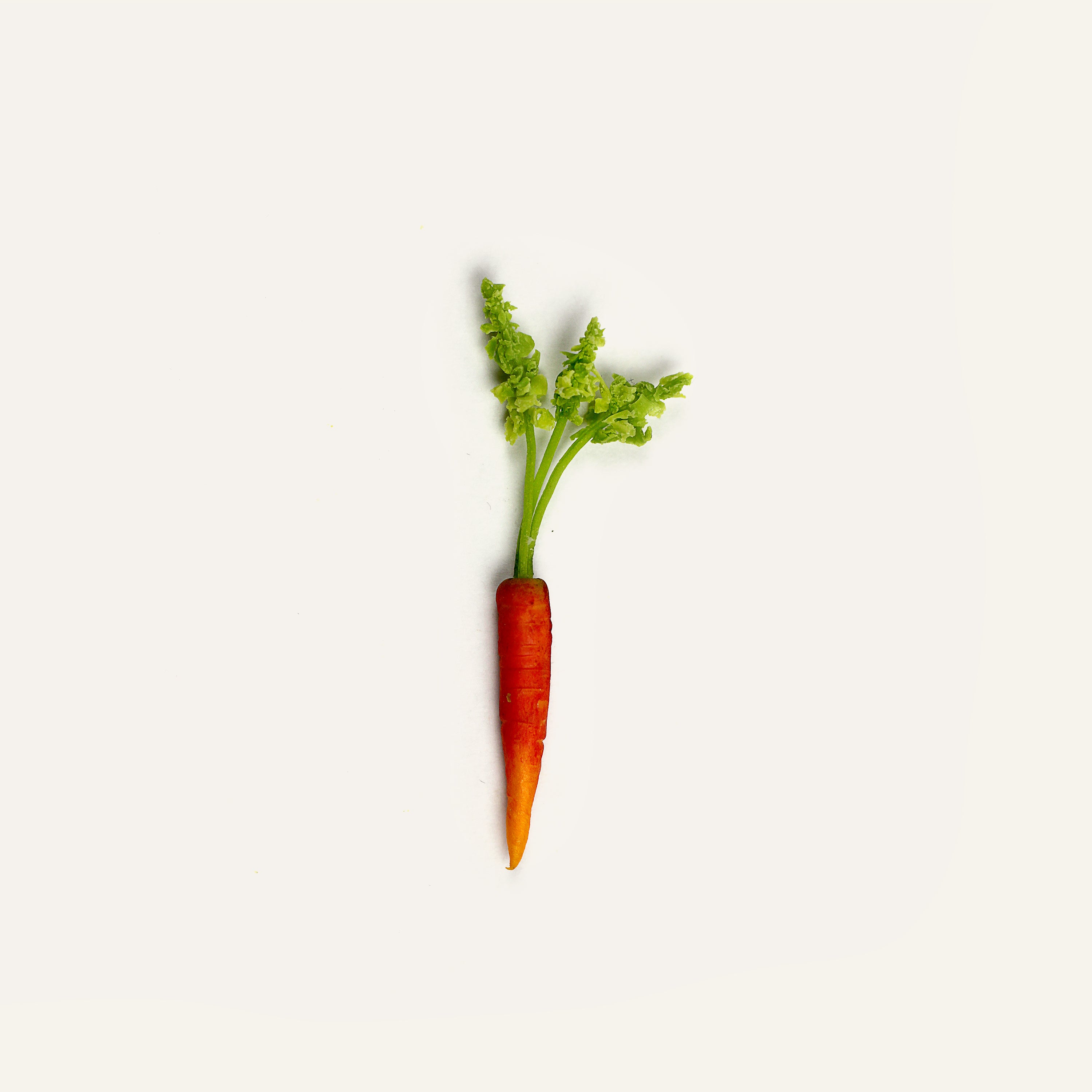 Carrot with Stalk